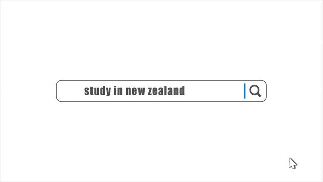 Study in New Zealand in search animation. Internet browser searching