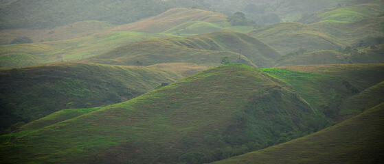 Landscape of green hills filling the frame 