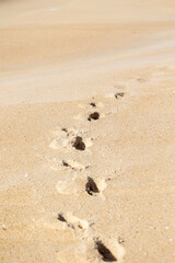 Fototapeta na wymiar footstep in sand