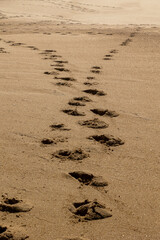 footstep in sand