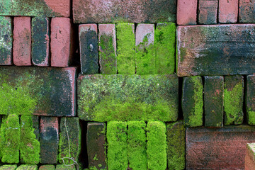 Building materials mossy red brick, mossy stone