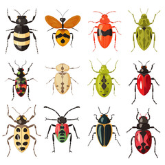 Insect collection isolated on transparent background