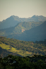 Obraz premium Vertical shot of hilly green landscape with some trees at dawn 