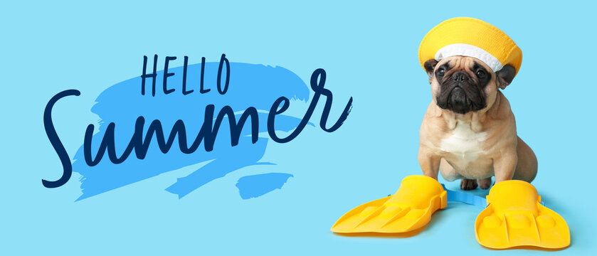 Cute French bulldog with hat and flippers on blue background