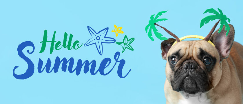 Cute French bulldog with palm accessory on blue background