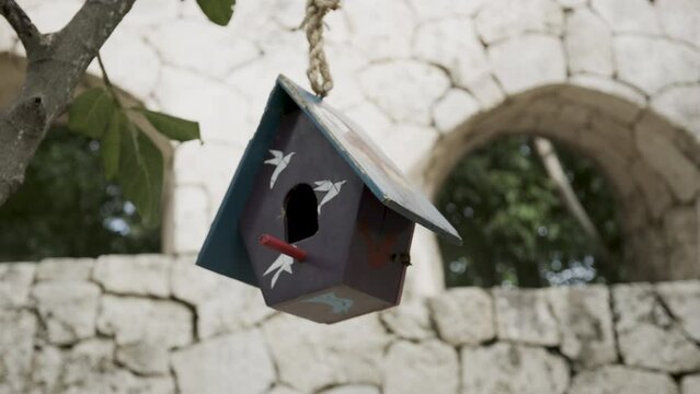 Steady cam around cute little bird house - closeup