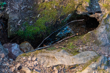 Ein kleiner Rinnsal fließt Wasserfall artig aus einem Felsen auf den Waldboden
