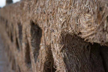 土や草で作られた壁