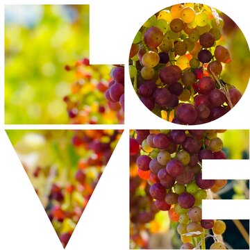 collage of grapes, love
