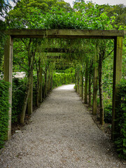 path in the garden with a wooden trellis