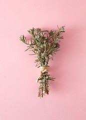 Sprigs of rosemary on the pink table. Creative minimalist concept. Copy space