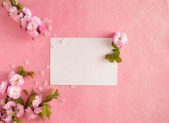 Creative composition of pink flowers and pink background. Flowerscape flat lay. Copy space