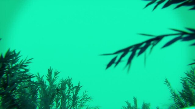 3d animation forest fantasy. Satisfying Loop. Visual VJ Video