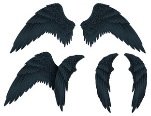ベクター  翼   黒  悪魔  地獄  カラス  ハロウィン