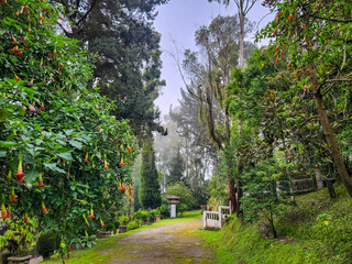 Ecuador tropical country landscape photography
