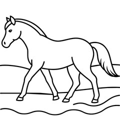         Horse walks along the seashore colouring page.
