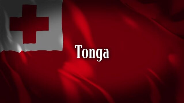 トンガの国旗に国名が現れます。