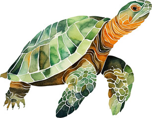  Sea green turtle watercolor illustration, sea life concept, isolated on white background