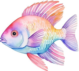 watercolor painting of sea life, tropical fish on white transparent background