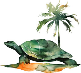 watercolor illustration, Sea green turtle on tropical island, sea life concept, isolated on white background