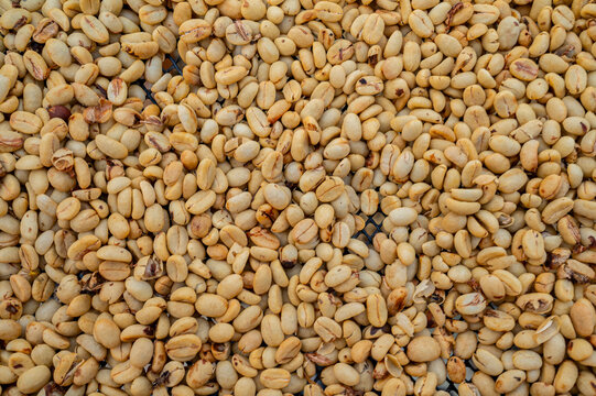 Granos de cafe 