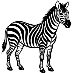 zebra vector illustration mascot,zebra silhouette,vector,icon,svg,characters,Holiday t shirt,black zebra drawn trendy logo Vector illustration,zebra on a white background,eps,png © SK kobita