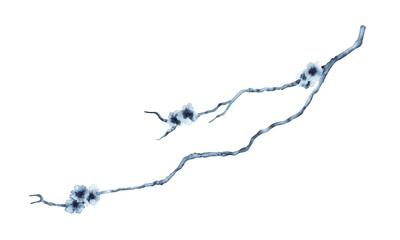 Cherry blossom watercolor illustration. Hand drawn South Korean floral element on transparent background. Indigo Blue monochrome flowers on branch for textile patterns and beauty product packaging