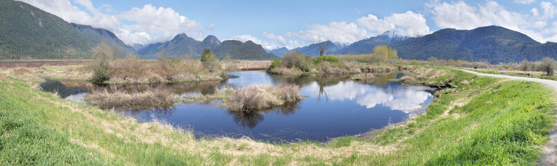Beautiful panorama of the Pitt River Dike Scenic Point during a spring season in Pitt Meadows,...
