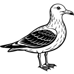 seagull silhouette vector art illustration
