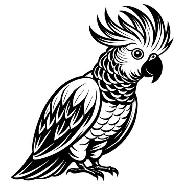recommend clip art: cockatoo silhouette vector art illustration