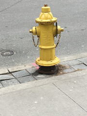 Fire hydrant yellow color, in the city