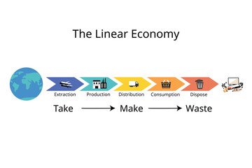 traditional linear economy model from natural resources to waste