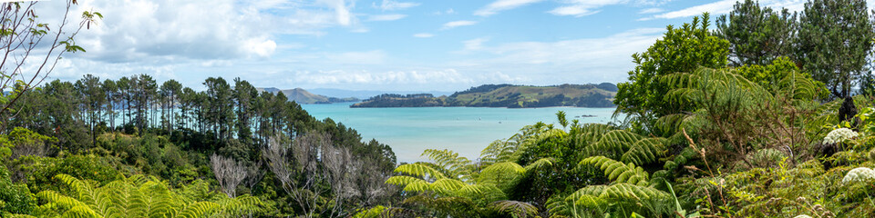 McGregor Bay and Coromandel Harbour from the Kauri Block Walk lookout, nestled in the native bush...