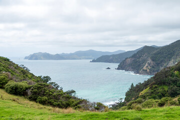 Fletcher Bay coastal cliffs on the remote Coromandel Coastal Walkway, breathtaking views of the Pacific Ocean and the rugged Moehau Range, New Zealand