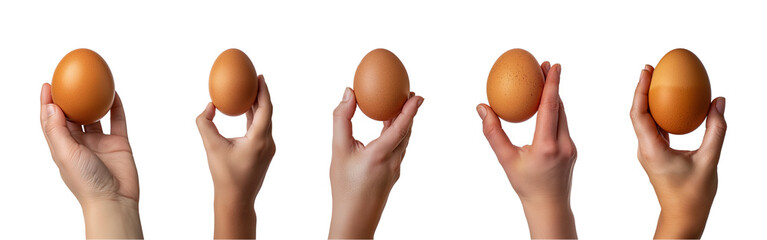 Collection of hand hold chicken egg isolated on a transparent background, PNG - obrazy, fototapety, plakaty