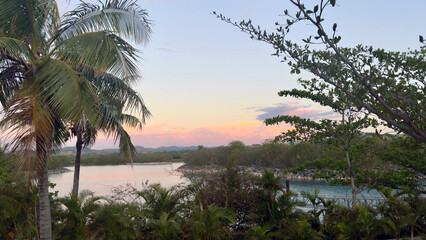 palm trees at sunset with pink sky in fiji