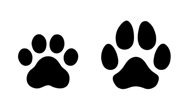 cat and dog paw prints