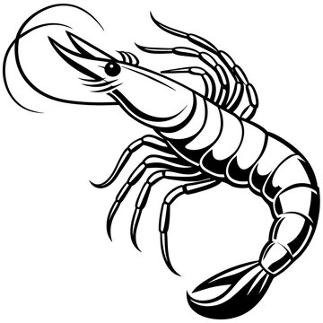 recommend clip art: shrimp silhouette vector art illustration