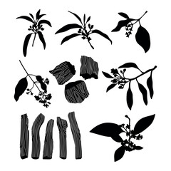 Sandalwood plant silhouette stencil templates - 783519445