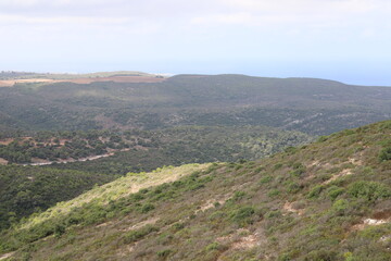 Landscape in the mountains in northern Israel.