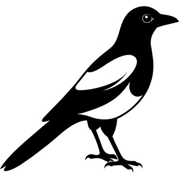 recommend clip art: magpie silhouette vector art illustration