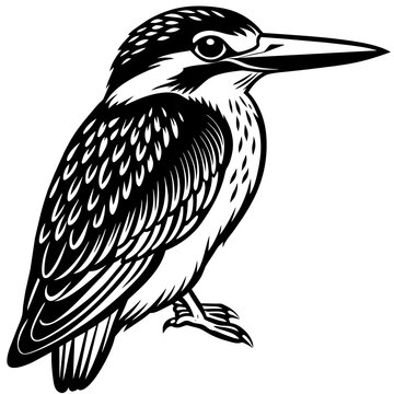 recommend clip art: kingfisher silhouette vector art illustration