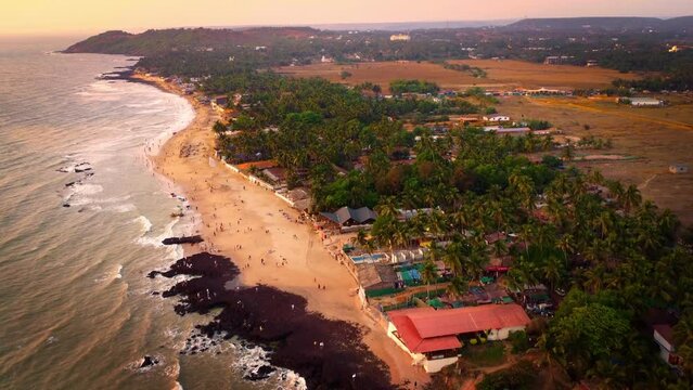 Drone shot of Anjuna beach coastline with coconut and palm trees during sunset at Goa