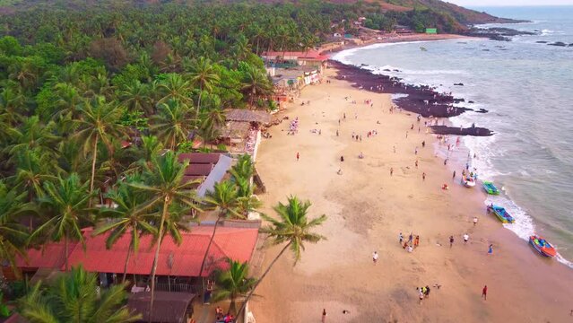 Drone shot of Anjuna beach coastline with coconut and palm trees during sunset at Goa
