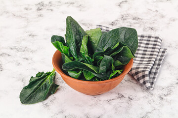 Ripe green spinach leaves heap