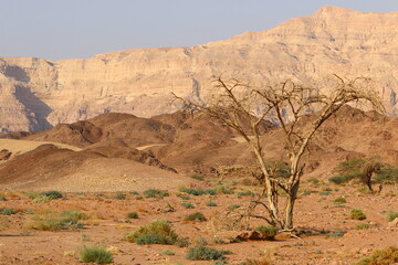 Timna mountain range in Eilat in southern Israel.