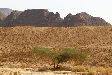 Timna mountain range in Eilat in southern Israel.