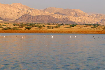 Timna mountain range in Eilat in southern Israel.