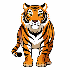 tiger--on-a-white-background--no-background 