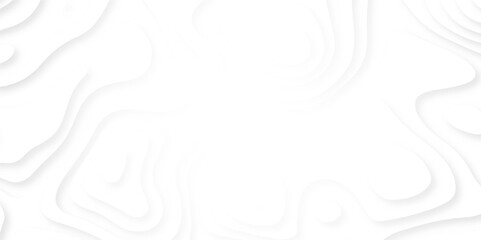 White abstract paper carve template background. Abstract wave background template for banner design element